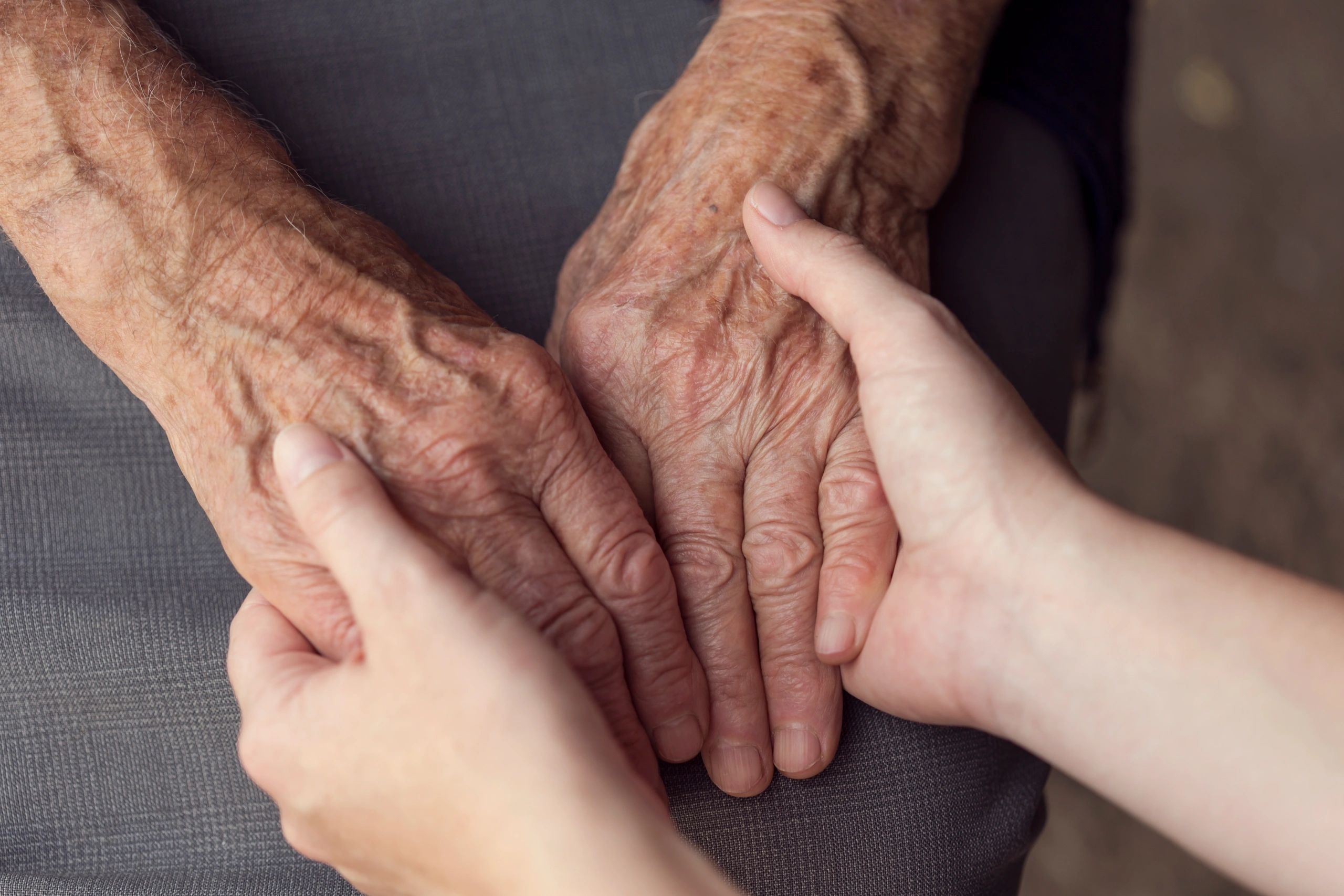 Advocate reviewing care plan with staff
